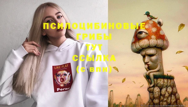 молекула духа Абдулино