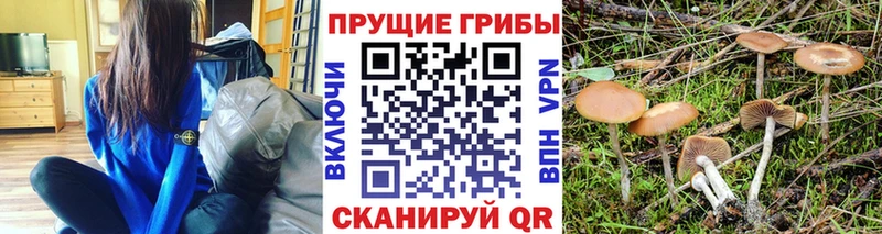МЕГА   Кинешма  Галлюциногенные грибы мухоморы  дарнет шоп 
